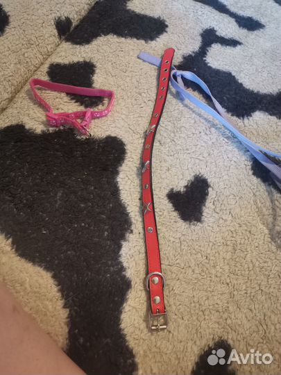 Для кошечек, собачек