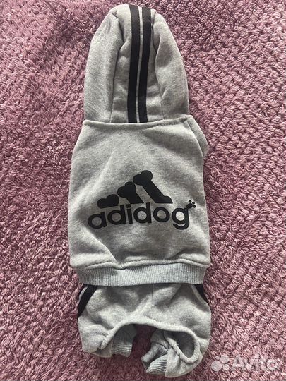 Одежда для маленьких пород собак