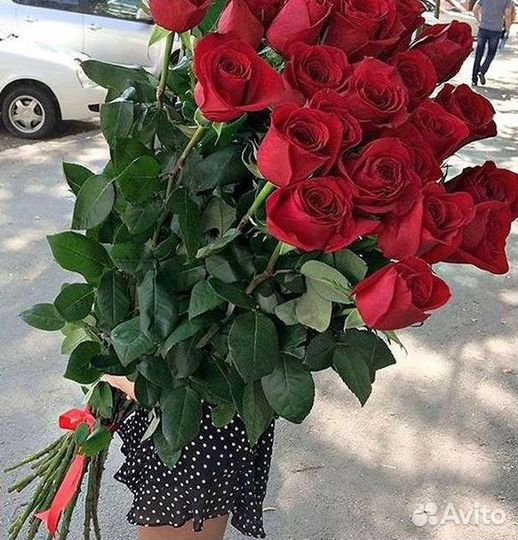 101 Роза Цветы Букеты 51 25 Роз Доставка