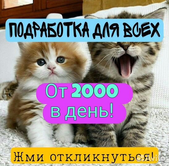 Промоутер ежедневная оплата для школьников