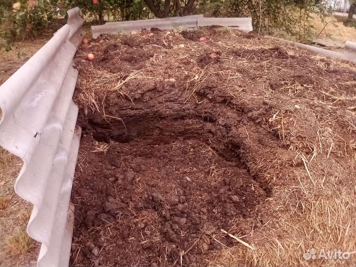 Конский навоз