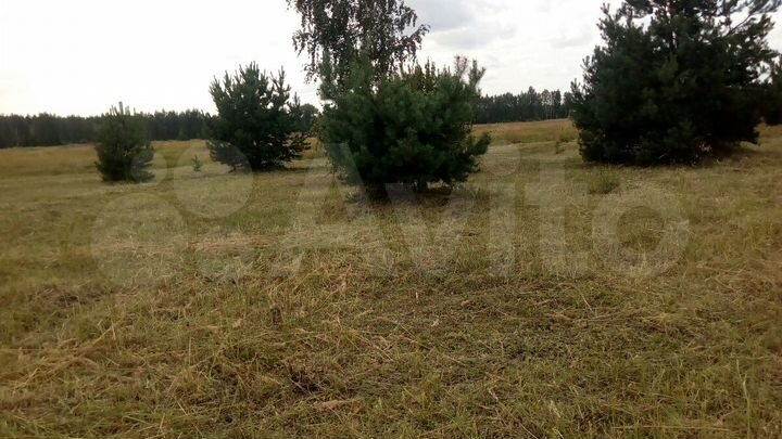Участок 11 сот. (ИЖС)