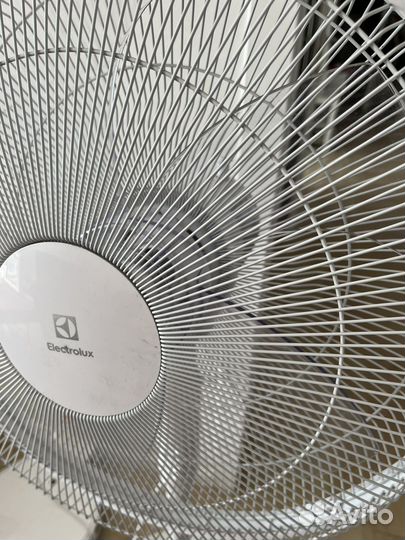 Напольный вентилятор Electrolux EFF-1006, белый