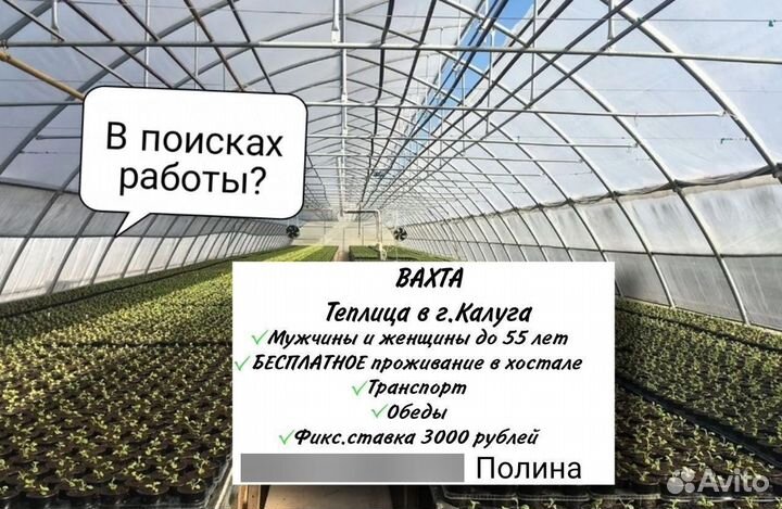 Работник в теплицу сборщик овощей