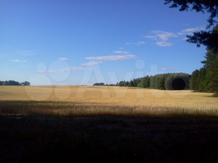 Участок 70 га (СНТ, ДНП)