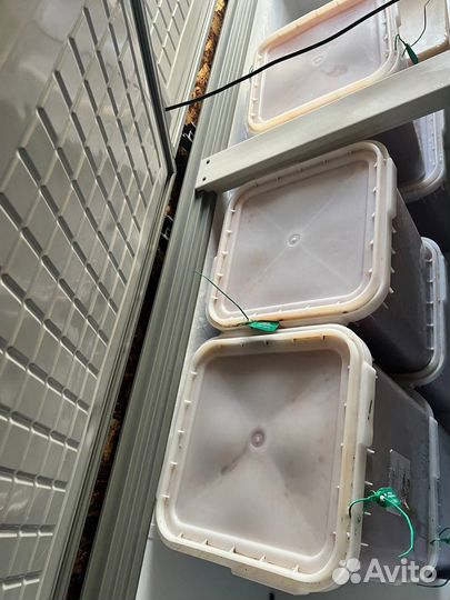 Красная икра 2023, заводская оптом и в розницу