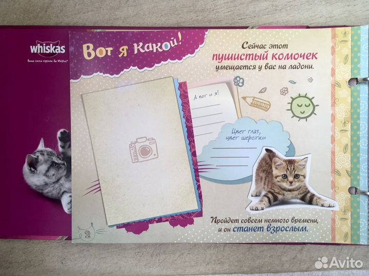 Фотоальбом для вашего котёнка