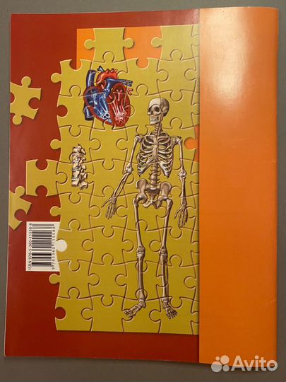 Рабочая тетрадь биология 8 класс