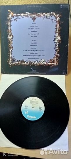 Виниловые пластинки Blondie