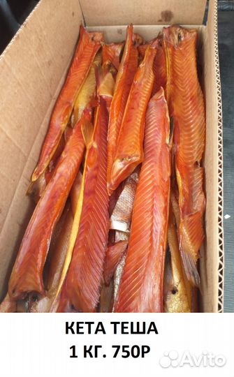 Горбуша кета