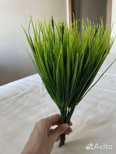 Декоративная трава осока