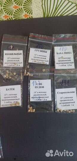 Семена томатов гномы