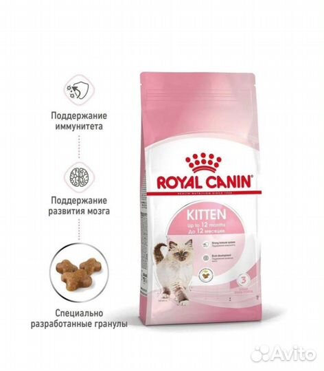 Сухой корм для котят