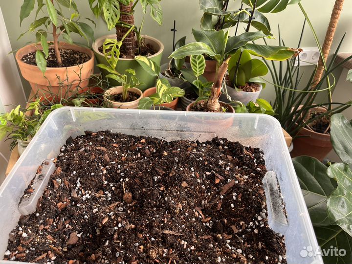 Грунт для цветов растений профессиональный