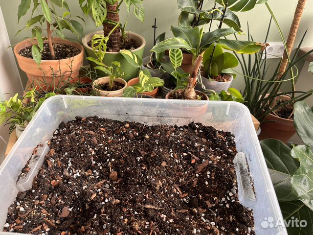 Грунт для цветов растений профессиональный