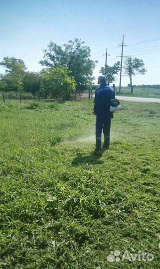 Покос травы