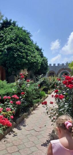 Дом 100 м² на участке 25 сот.