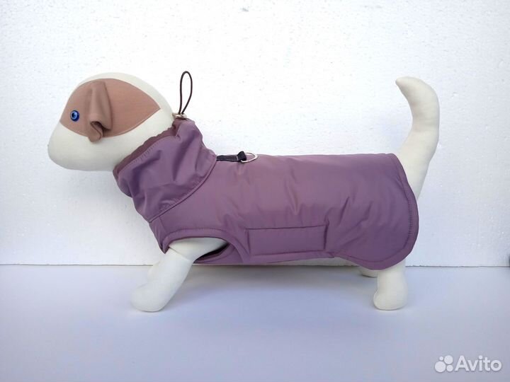 Одежда для собак