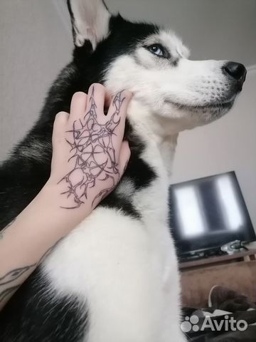 Художественная татуировка