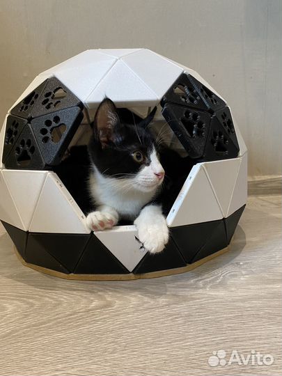 Домик для кошек