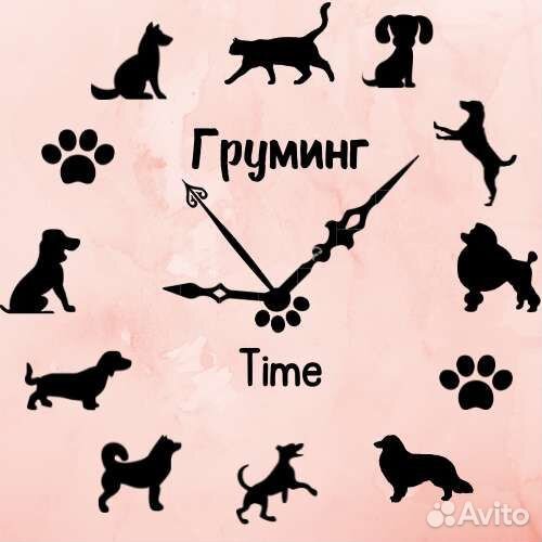 Стрижка собак. Тримминг. Груминг. Московский р-н