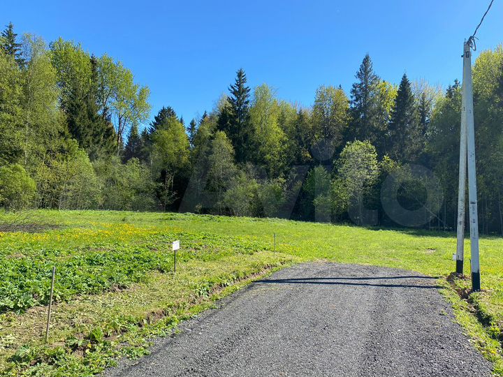 Участок 15,5 сот. (ИЖС)