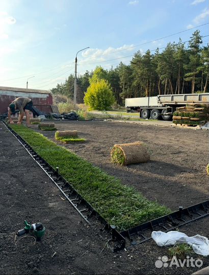 Рулонный газон