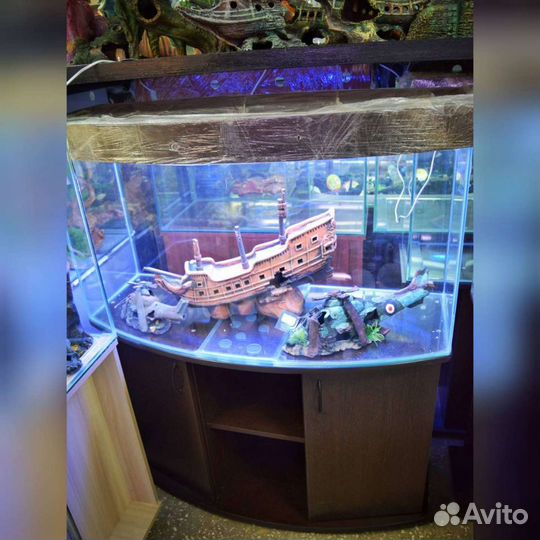 Гнутые аквариумы