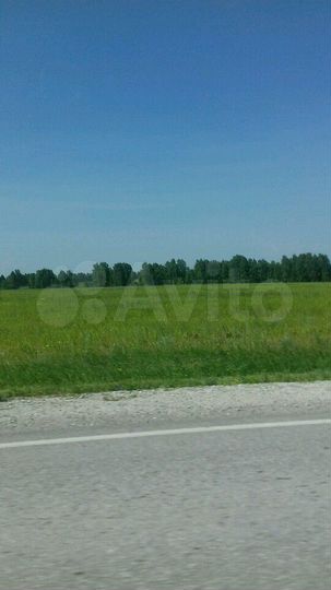 Участок 51 га (СНТ, ДНП)