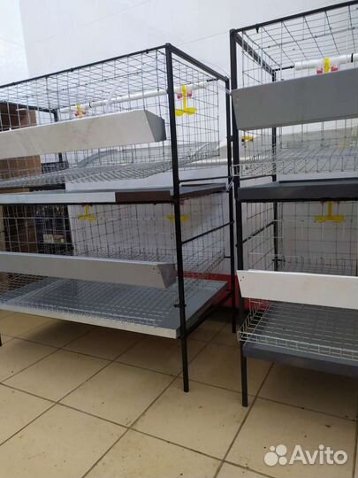 Клетки для кур-несушек