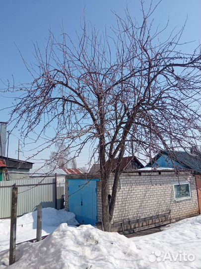 Спил деревьев Обрезка