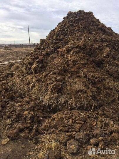 Навоз Чернозем