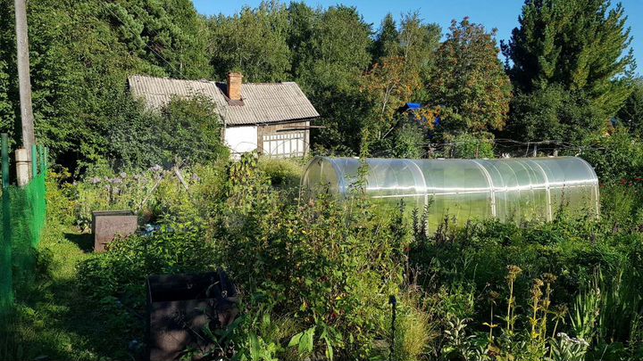 Дом 60 м² на участке 13 сот.