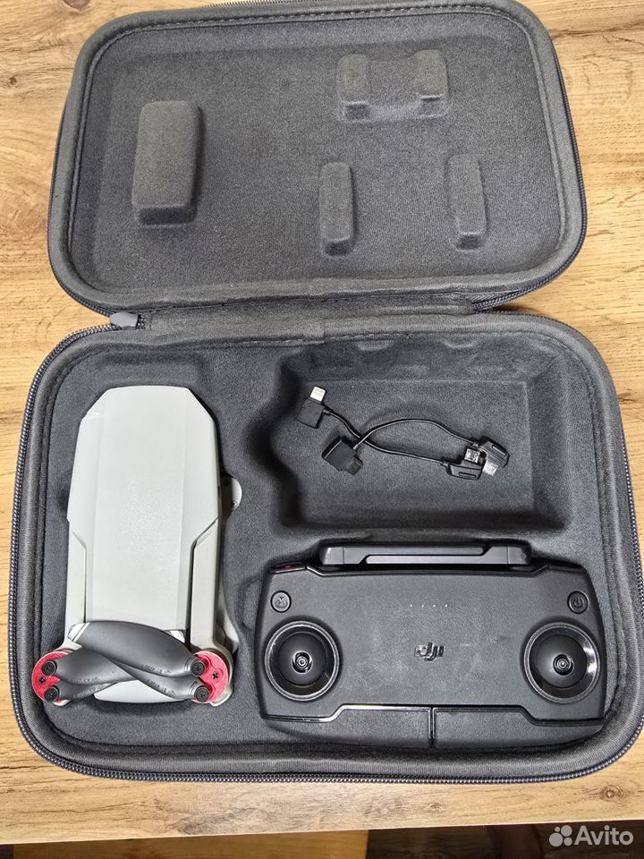 Dji mavic mini