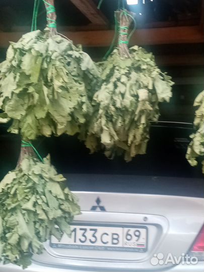 Дубовые веники для бани