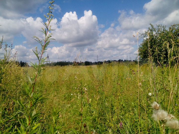 Участок 70 сот. (ИЖС)