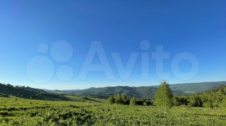 Участок 30 сот. (СНТ, ДНП)