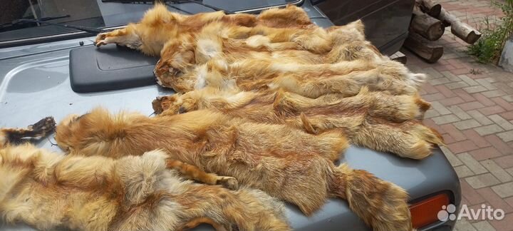 Шкурки лисы