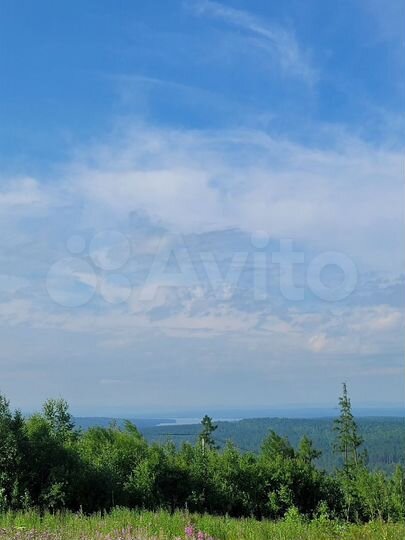 Участок 20 сот. (ИЖС)