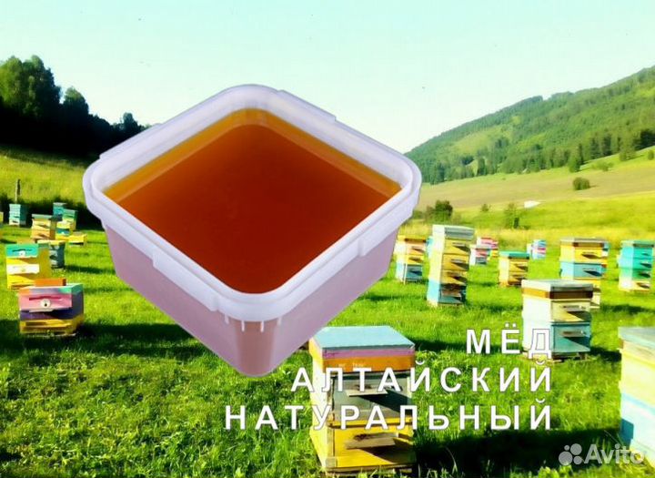 Мёд натуральный с Алтая опт