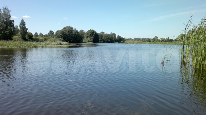 Участок 19,9 сот. (ИЖС)