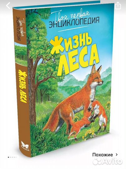 Новые энциклоп Животные Загадки природы Жизнь леса