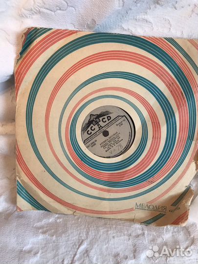 Уточка луговая Русланова,есть другие поастинки