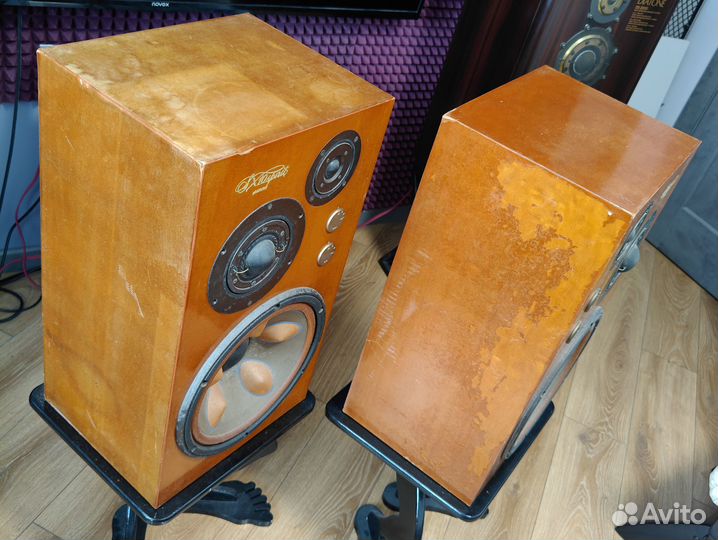 Акустическая система Victor SX-10 Spirit