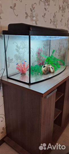 Аквариум с тумбой бу 100 литров