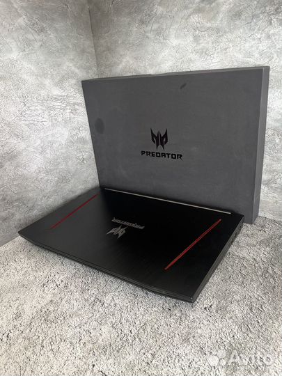 Acer predator