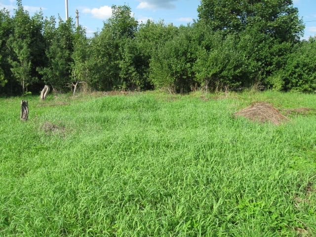 Участок 32 сот. (ИЖС)