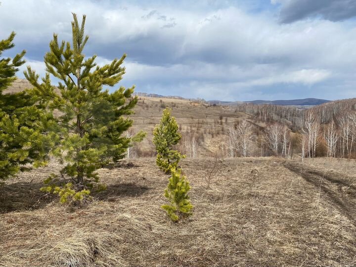 Участок 25 га (СНТ, ДНП)