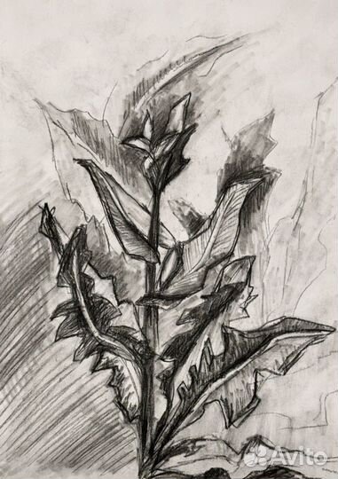 Зарисовки цветов и деревьев А4