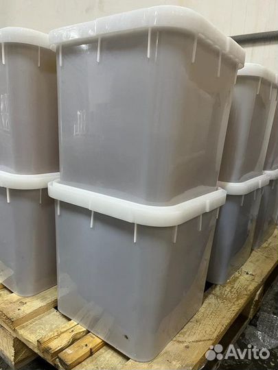 Мед гречишный свежий оптом